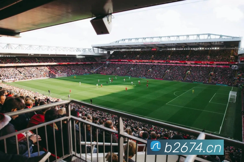 开云kaiyun在线平台生态图